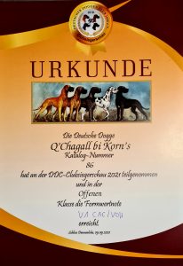 DDC Clubsiegerschau 2021