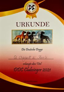 DDC Clubsieger 2021