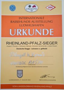 Rheinland-Pfalz Sieger 2022