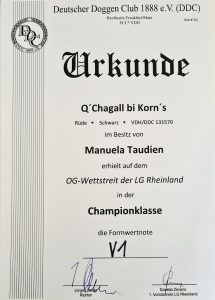 Beste Dogge der LG Rheinland 2023